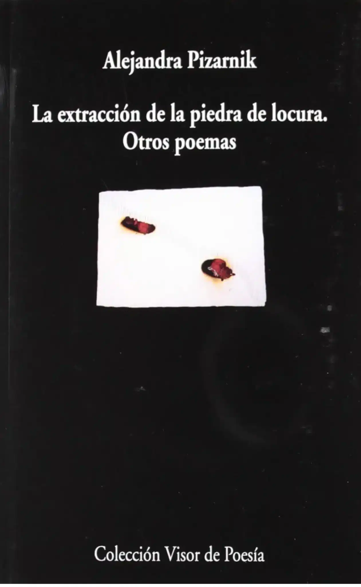 Alejandra Pizarnik piedra locura