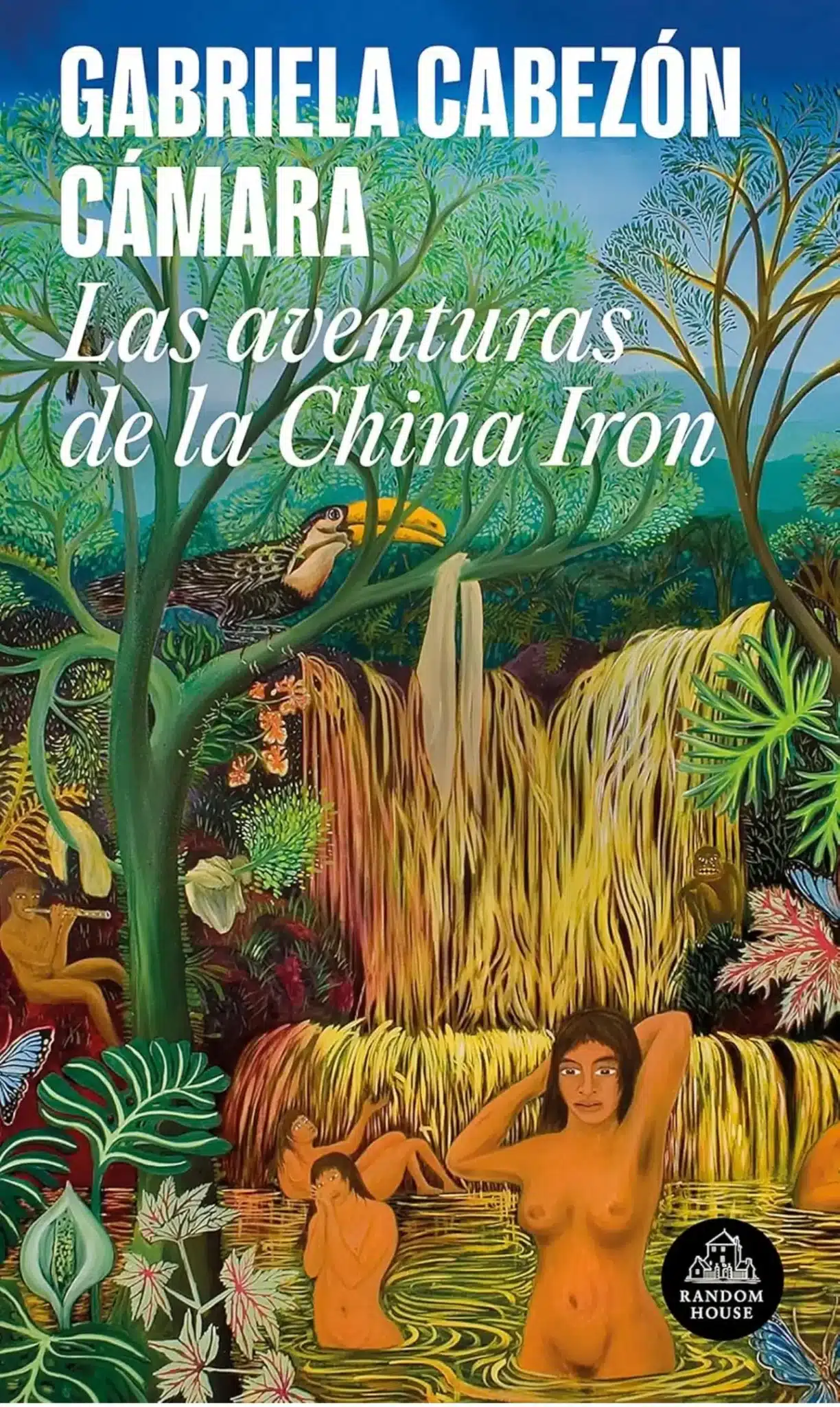 Gabriela Cabezón Cámara las aventuras de la china iron