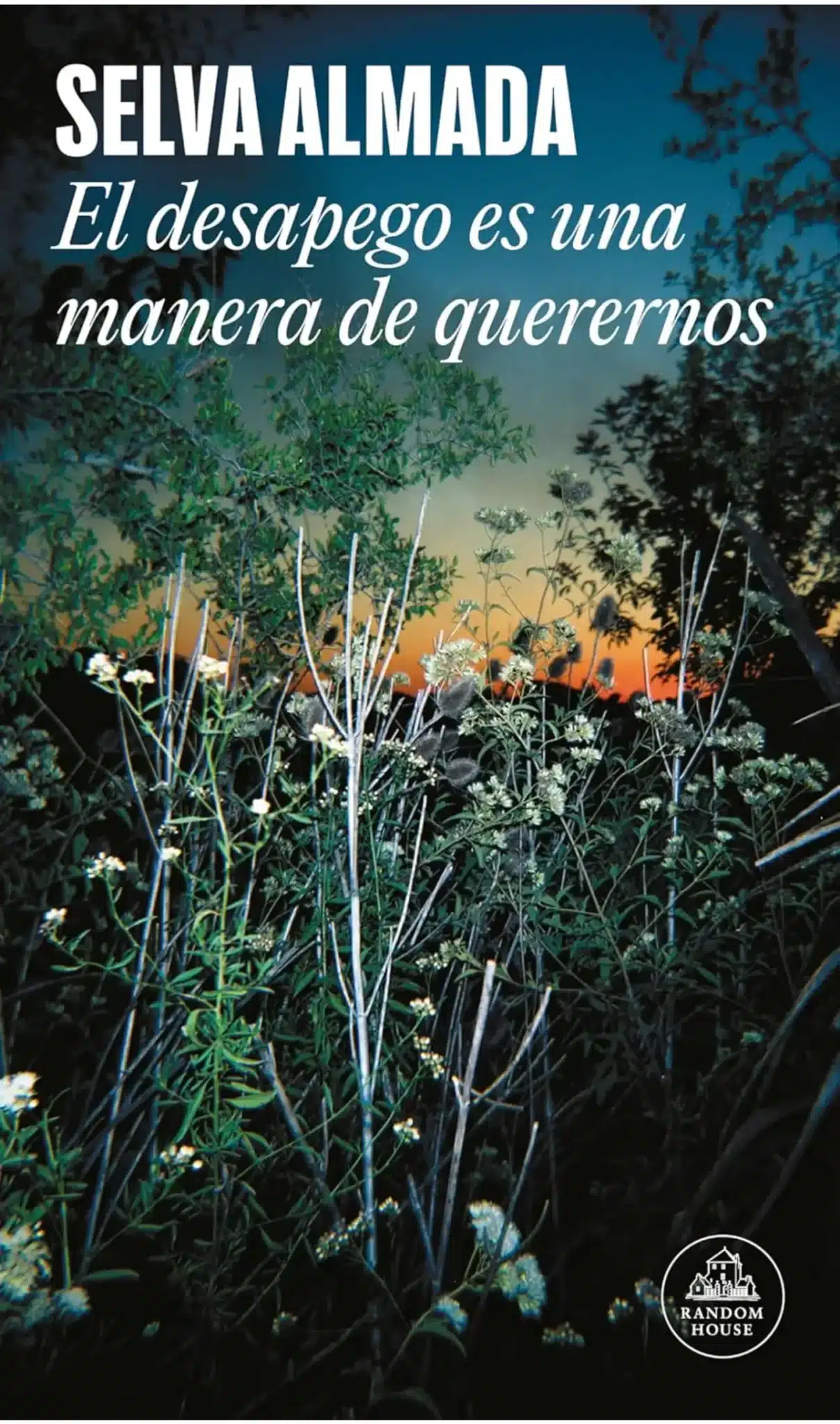 Selva Almada el desapego es una manera de querernos