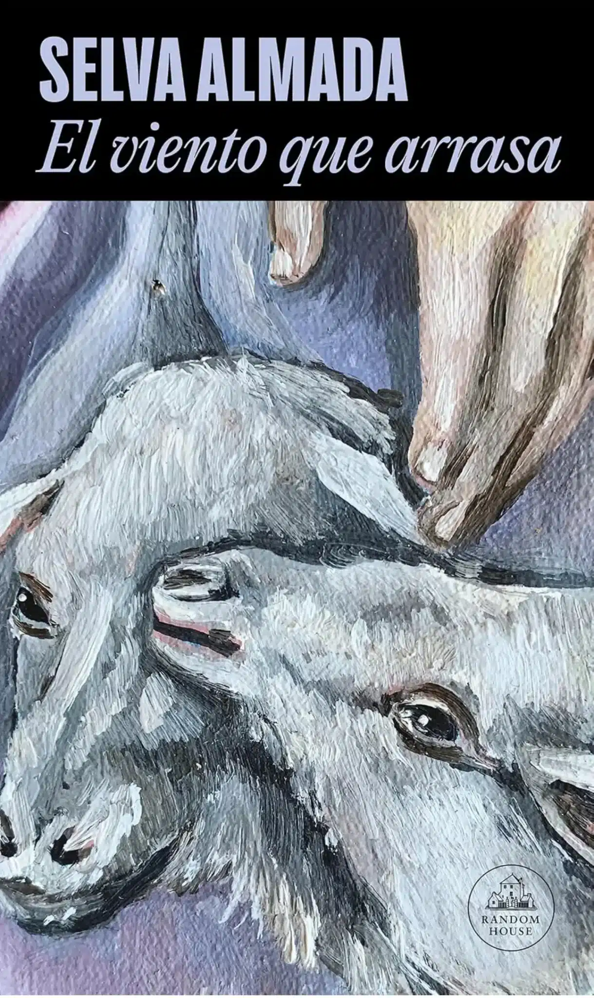 Selva Almada viento que arrasa