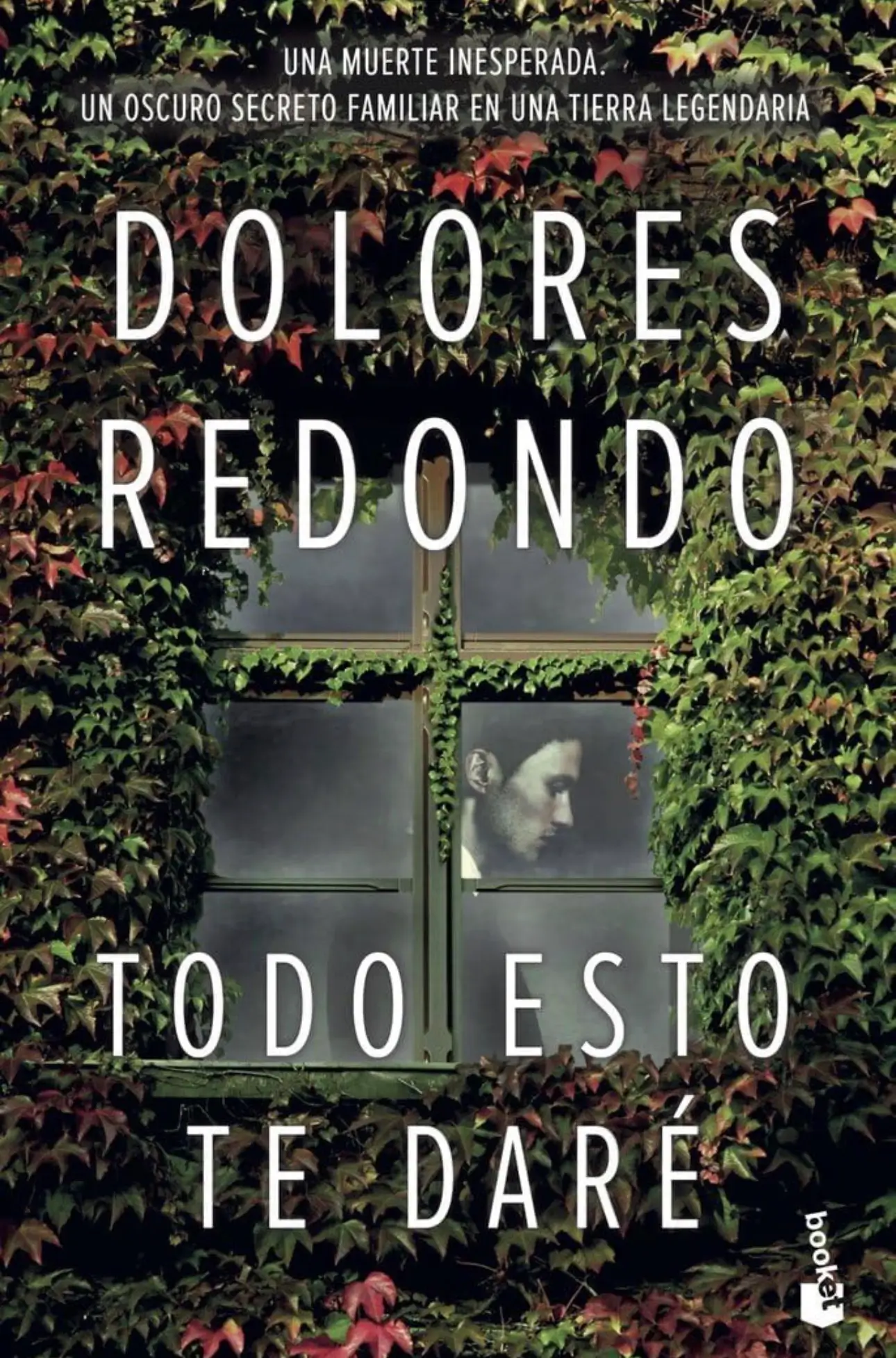 dolores redondo todo esto te daré

