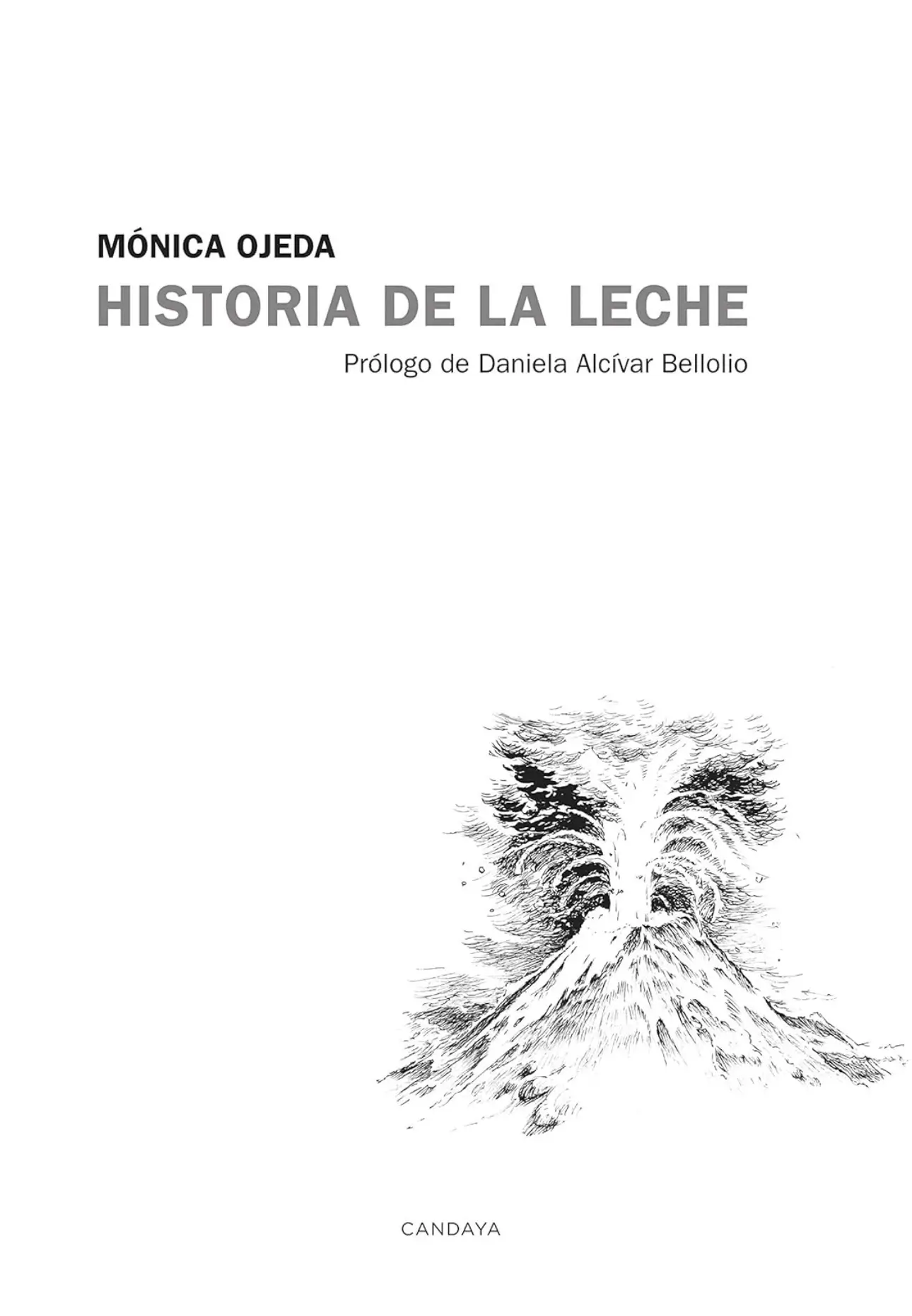Mónica Ojeda historias de la leche
