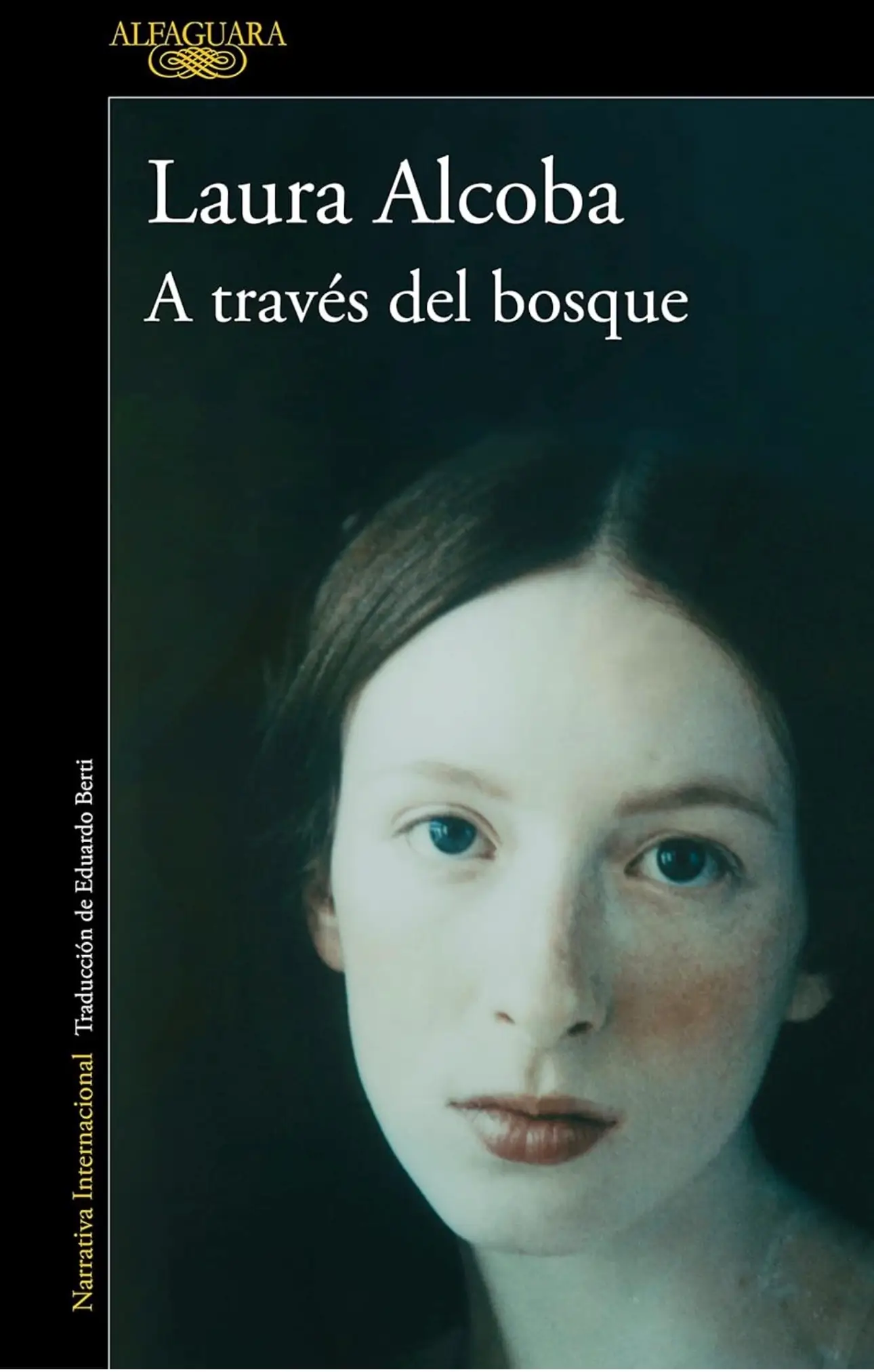 a través del espejo de laura alcoba
