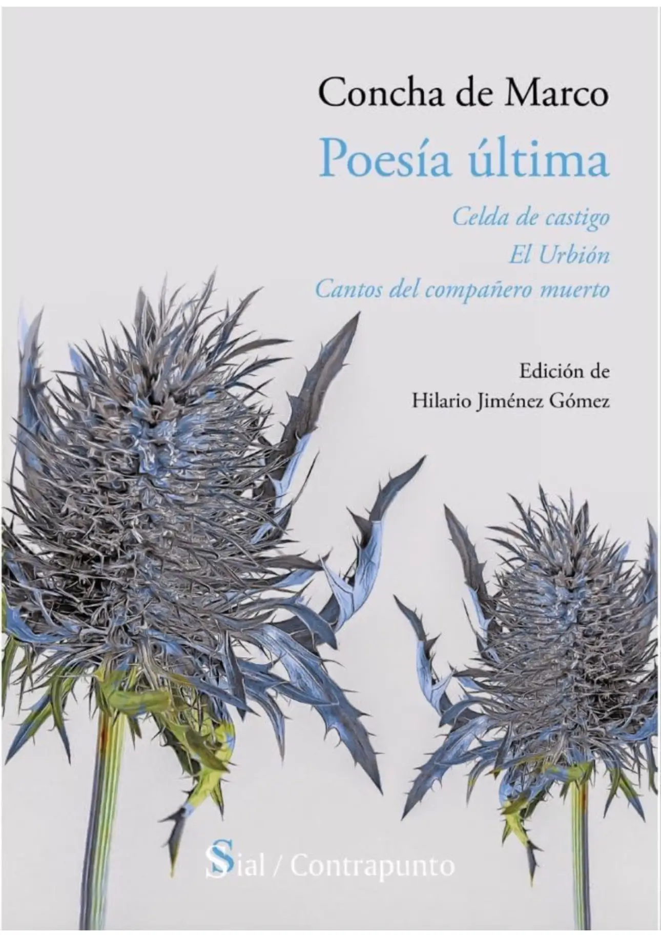 Concha de Marco poesía última