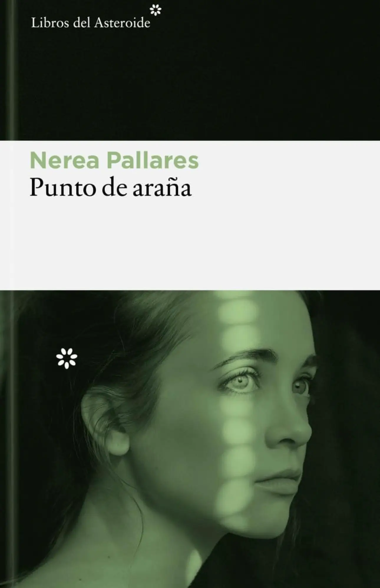 punto de araña nerea pallares