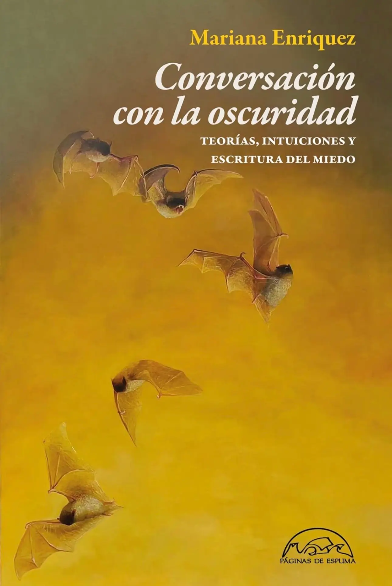 conversaciones en la oscuridad mariana enriquez
